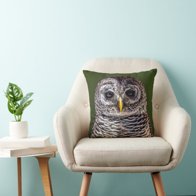 Cutest Baby Animals | Tawny Owl Cushion (Chair)