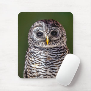 Cutest Baby Animals   Tawny Owl Mouse Pad