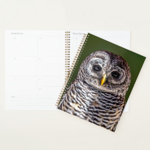 Cutest Baby Animals Tawny Owl Planner