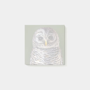 Cutest Baby Animals   Tawny Owl Post-it Notes
