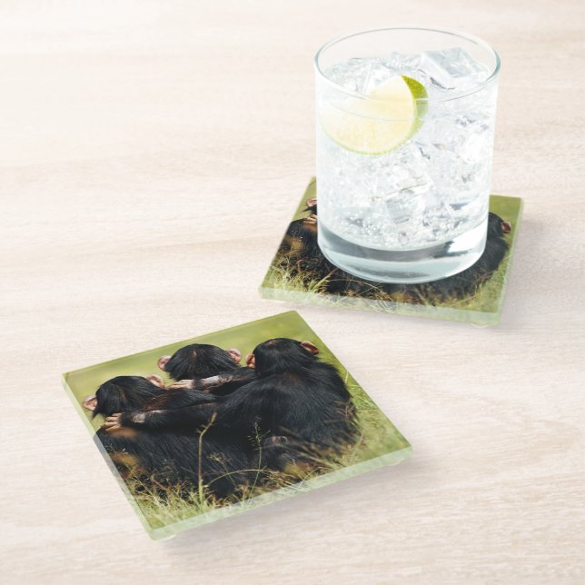 Cutest Baby Animals | Three Chimpanzees Hugging Glass Coaster (Angled)