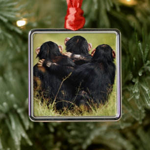 Cutest Baby Animals Three Chimpanzees Hugging Metal Ornament