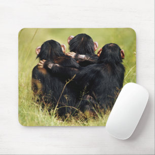 Cutest Baby Animals   Three Chimpanzees Hugging Mouse Pad