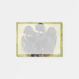 Cutest Baby Animals Three Chimpanzees Hugging Post-it Notes