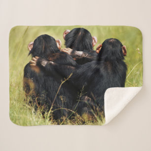 Cutest Baby Animals   Three Chimpanzees Hugging Sherpa Blanket