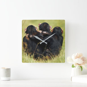 Cutest Baby Animals Three Chimpanzees Hugging Square Wall Clock