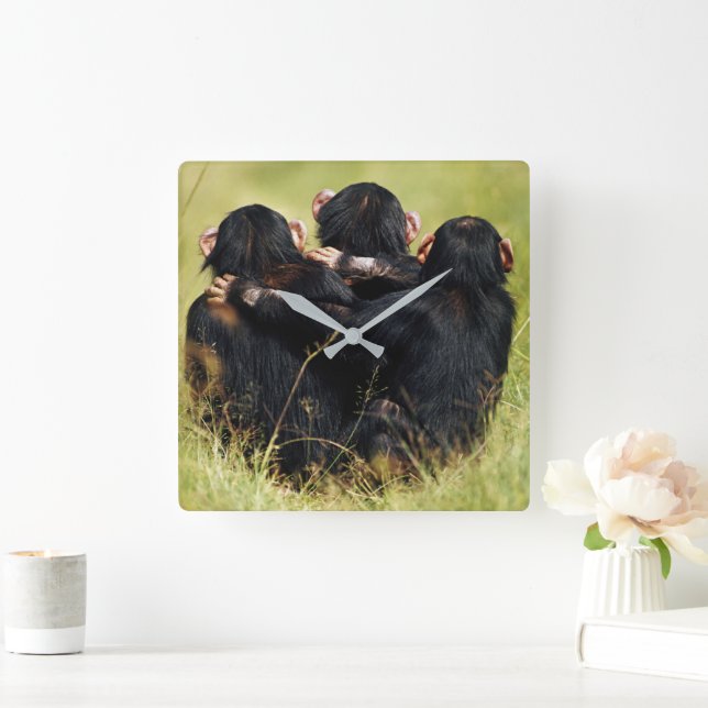 Cutest Baby Animals | Three Chimpanzees Hugging Square Wall Clock (Home)