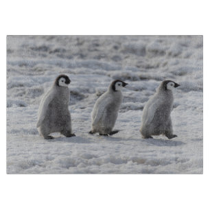 Cutest Baby Animals   Three Emperor Penguin Chicks Cutting Board
