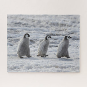 Cutest Baby Animals   Three Emperor Penguin Chicks Jigsaw Puzzle