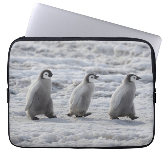 Cutest Baby Animals | Three Emperor Penguin Chicks Laptop Sleeve (Front)
