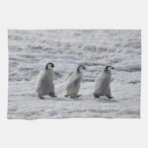 Cutest Baby Animals   Three Emperor Penguin Chicks Tea Towel