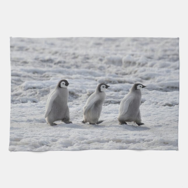 Cutest Baby Animals | Three Emperor Penguin Chicks Tea Towel (Horizontal)