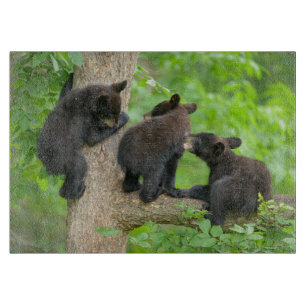 Cutest Baby Animals Three Young Black Bear Cubs Cutting Board