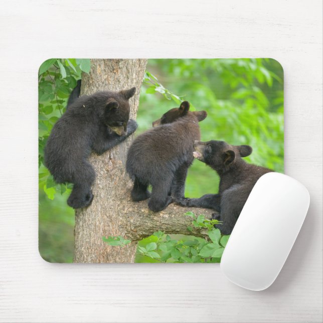 Cutest Baby Animals | Three Young Black Bear Cubs Mouse Pad (With Mouse)