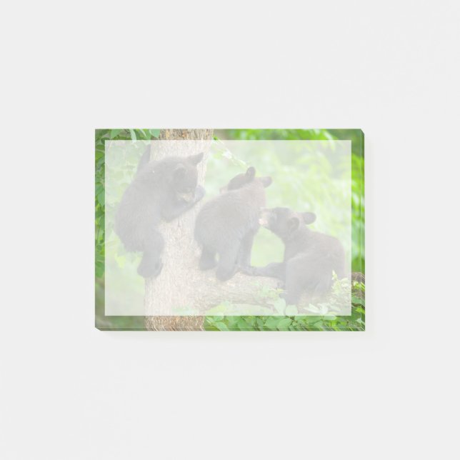 Cutest Baby Animals | Three Young Black Bear Cubs Post-it Notes (Front)