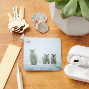 Cutest Baby Animals   Three Young Polar Bears Key Ring