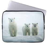 Cutest Baby Animals | Three Young Polar Bears