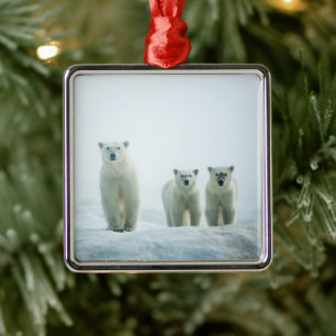 Cutest Baby Animals Three Young Polar Bears Metal Ornament