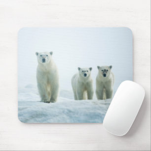Cutest Baby Animals Three Young Polar Bears Mouse Pad