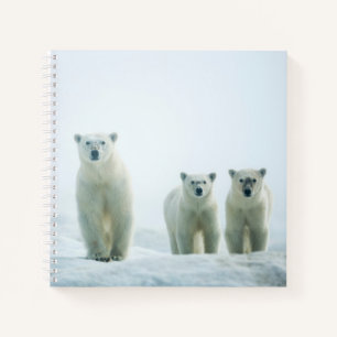 Cutest Baby Animals Three Young Polar Bears Notebook