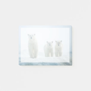 Cutest Baby Animals Three Young Polar Bears Post-it Notes