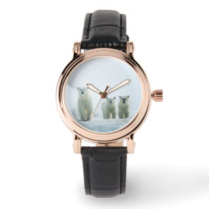 Cutest Baby Animals Three Young Polar Bears Watch