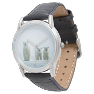 Cutest Baby Animals Three Young Polar Bears Watch