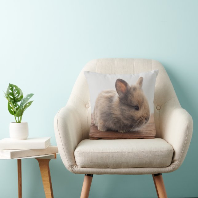 Cutest Baby Animals | Tiny Baby Bunny Cushion (Chair)