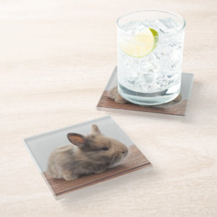 Cutest Baby Animals Tiny Baby Bunny Glass Coaster