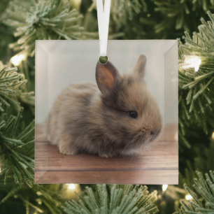 Cutest Baby Animals Tiny Baby Bunny Glass Tree Decoration