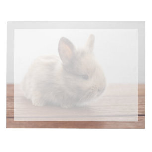 Cutest Baby Animals Tiny Baby Bunny Notepad