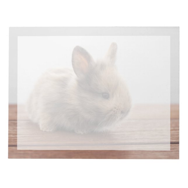 Cutest Baby Animals | Tiny Baby Bunny Notepad (Front)