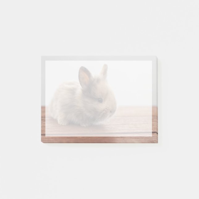 Cutest Baby Animals | Tiny Baby Bunny Post-it Notes (Front)