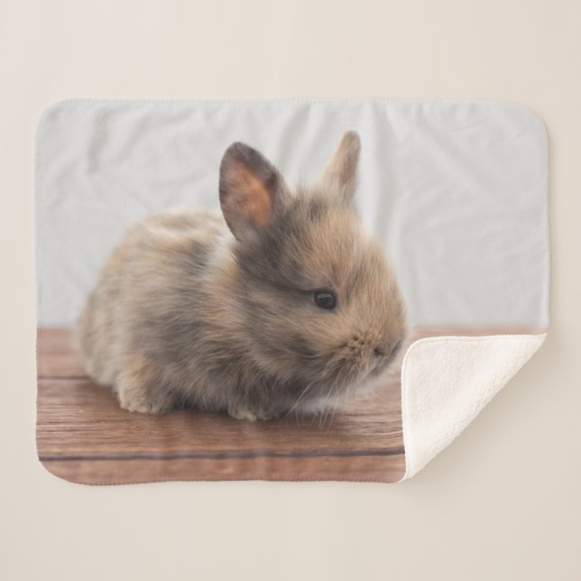 Cutest Baby Animals | Tiny Baby Bunny Sherpa Blanket (Front (Horizontal))