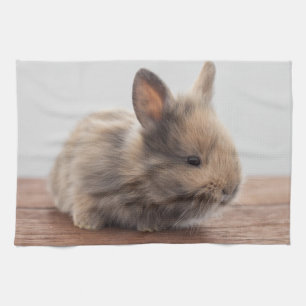 Cutest Baby Animals   Tiny Baby Bunny Tea Towel