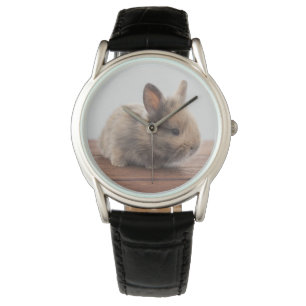 Cutest Baby Animals   Tiny Baby Bunny Watch