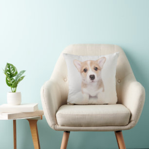 Cutest Baby Animals   Tiny Corgi Cushion