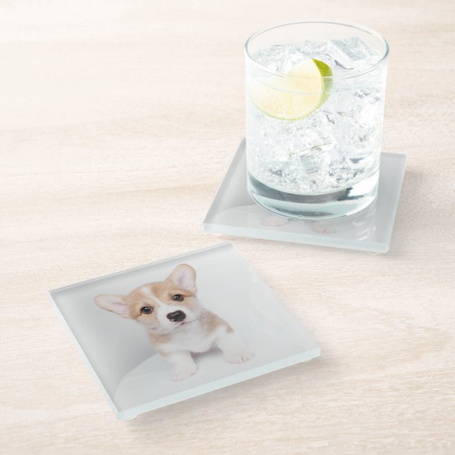 Cutest Baby Animals | Tiny Corgi Glass Coaster (Angled)