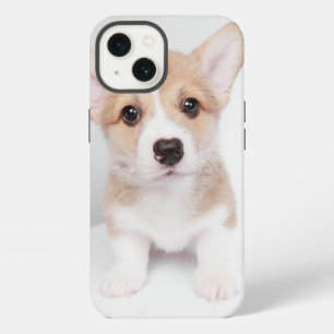 Cutest Baby Animals Tiny Corgi iPhone 13 Case