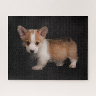 Cutest Baby Animals Tiny Corgi Jigsaw Puzzle