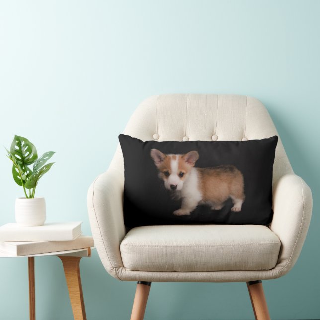 Cutest Baby Animals | Tiny Corgi Lumbar Cushion (Chair)