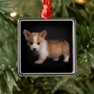 Cutest Baby Animals   Tiny Corgi Metal Ornament