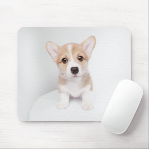 Cutest Baby Animals Tiny Corgi Mouse Pad