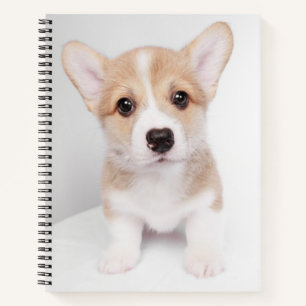 Cutest Baby Animals   Tiny Corgi Notebook