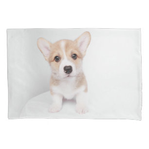Cutest Baby Animals   Tiny Corgi Pillowcase