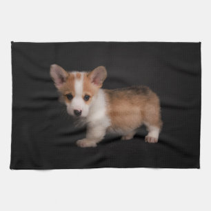 Cutest Baby Animals Tiny Corgi Tea Towel