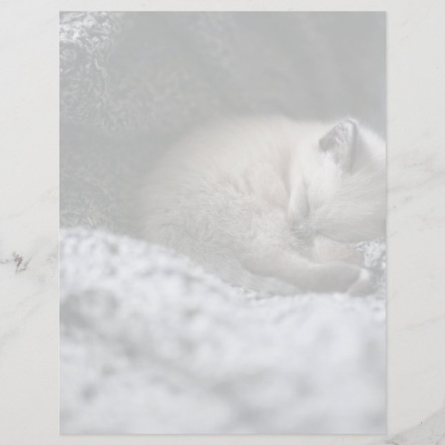 Cutest Baby Animals | Tiny Kitten Sleeping (Front)