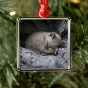 Cutest Baby Animals   Tiny Kitten Sleeping Metal Ornament
