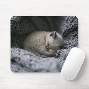 Cutest Baby Animals Tiny Kitten Sleeping Mouse Pad