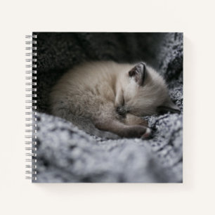 Cutest Baby Animals   Tiny Kitten Sleeping Notebook